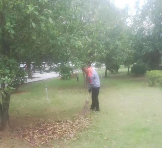 后勤服務(wù)處開展愛國衛(wèi)生運(yùn)動(dòng)