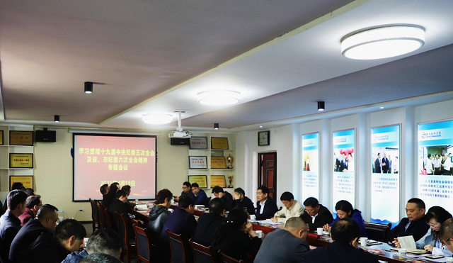 學習貫徹十九屆中央紀委五次全會及省、市紀委六次全會精神專題會議召開