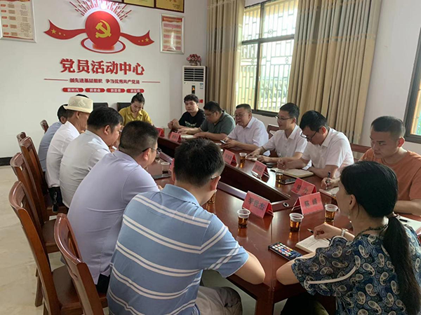 衡陽技師學院第二輪鄉村振興駐村工作隊正式入駐大浦鎮青鴉村